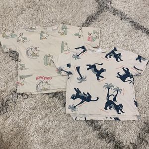 Two Zara Tees, Boys, 2-3 Years